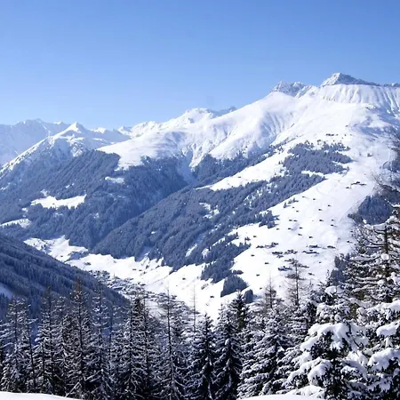 Alpenrose Apartment *