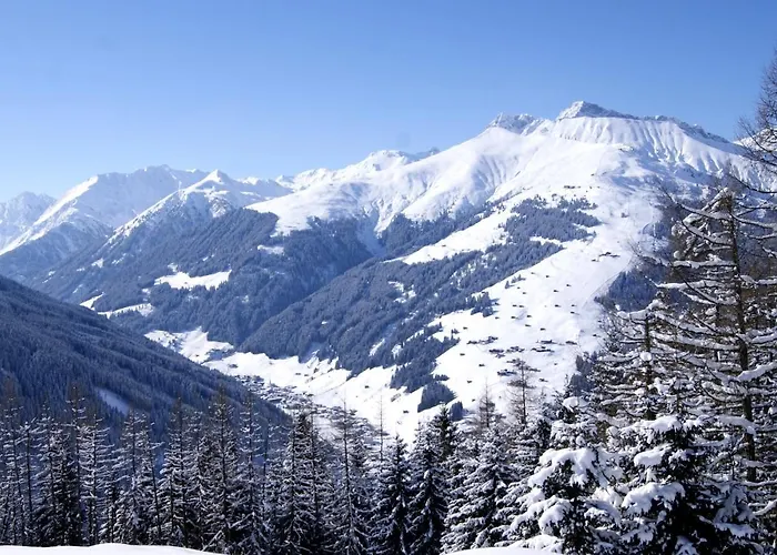 Alpenrose Apartment *